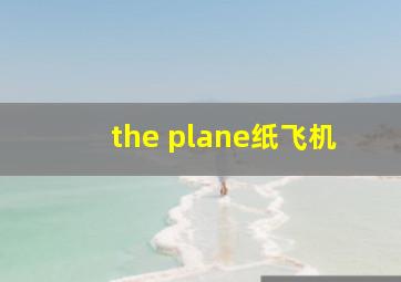 the plane纸飞机